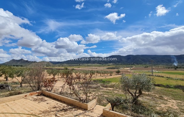 Wiederverkauf - Country Property/Finca - Yecla - Inland