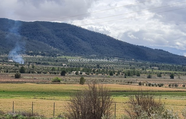 Wiederverkauf - Country Property/Finca - Yecla - Inland
