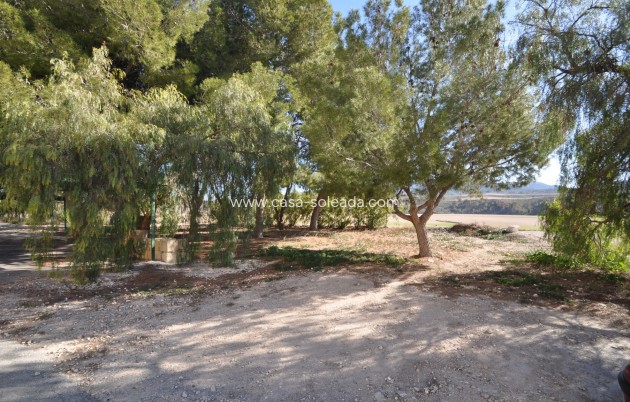 Wiederverkauf - Country Property/Finca - Jumilla - Inland