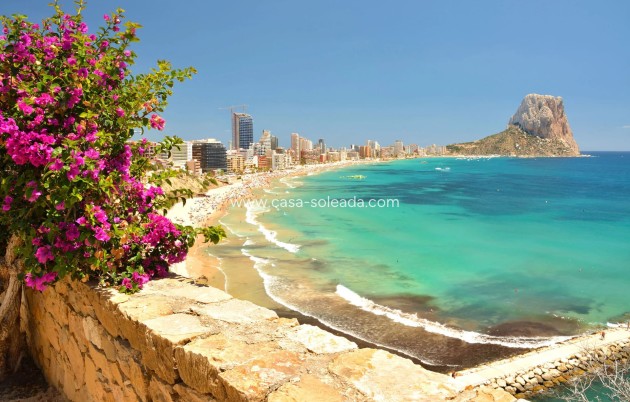 Nieuwbouw Woningen - Appartement / flat - Calpe