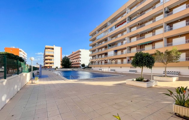 Wiederverkauf - Wohnung - Torrevieja - Costa Blanca