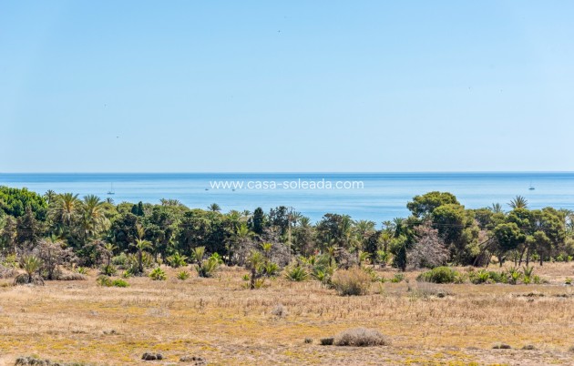 Wiederverkauf - Wohnung - Torrevieja - Costa Blanca