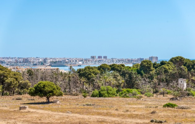 Wiederverkauf - Wohnung - Torrevieja - Costa Blanca