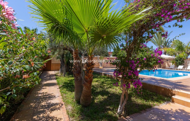 Herverkoop - Villa - Orihuela - Inland