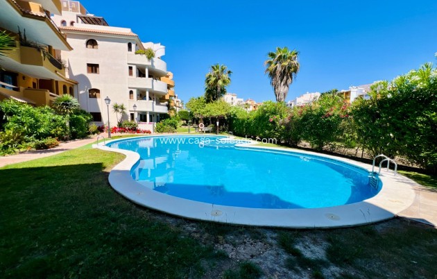 Wiederverkauf - Wohnung - Torrevieja - Punta Prima