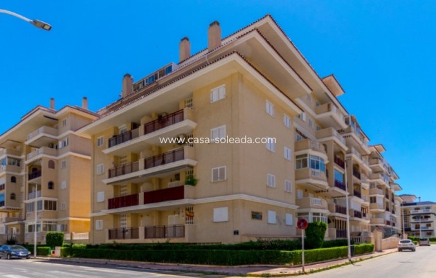 Reventa - Apartamento / piso - Torrevieja - Costa Blanca