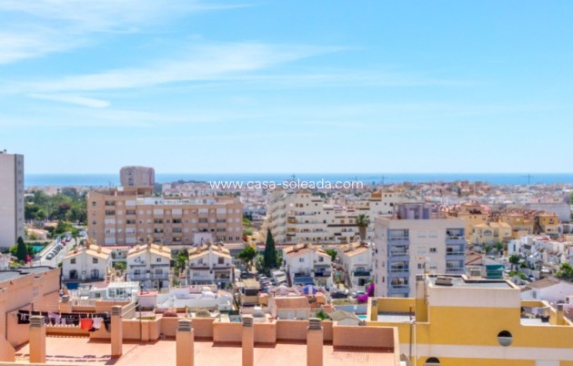 Wiederverkauf - Wohnung - Torrevieja - Costa Blanca