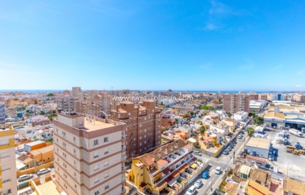 Wiederverkauf - Wohnung - Torrevieja - Costa Blanca