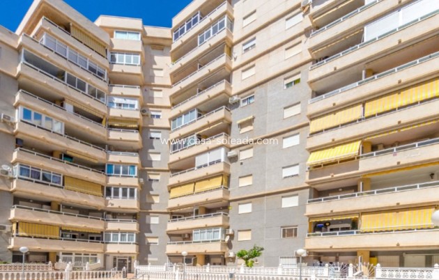 Wiederverkauf - Wohnung - Torrevieja - Costa Blanca