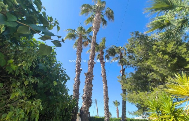 Wiederverkauf - Villa - Torrevieja - La Siesta