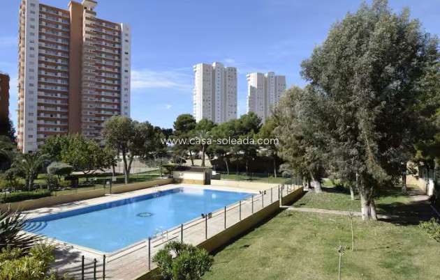 Resale - Apartment / flat - Benidorm - Costa Blanca