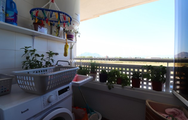 Wiederverkauf - Wohnung - Almoradi - Almoradi - Town