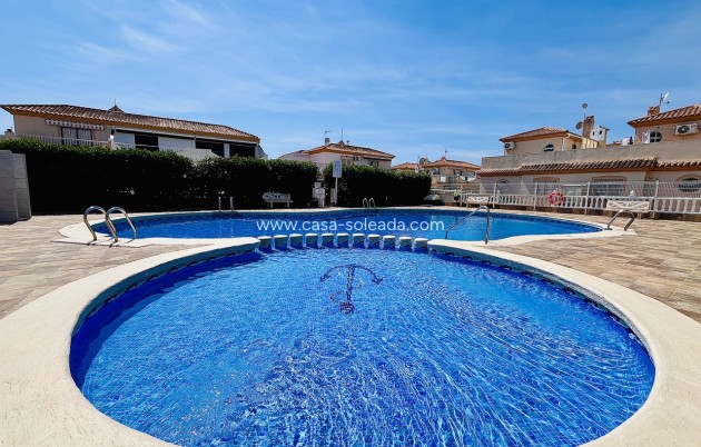 Wiederverkauf - Stadthaus - Playa Flamenca - Costa Blanca
