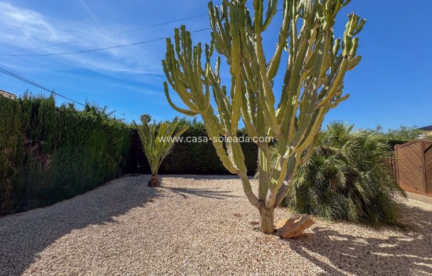 Wiederverkauf - Villa - Torrevieja - Costa Blanca