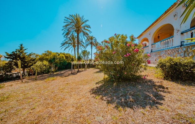 Wiederverkauf - Villa - Orihuela Costa - Playa Flamenca