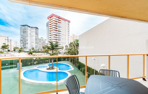 Obra nueva - Apartamento / piso - Calpe