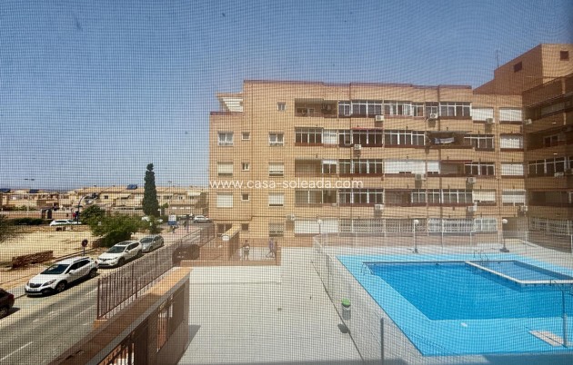 Herverkoop - Appartement / flat - Torrevieja - El Molino