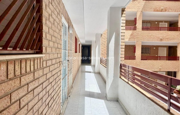 Herverkoop - Appartement / flat - Torrevieja - El Molino