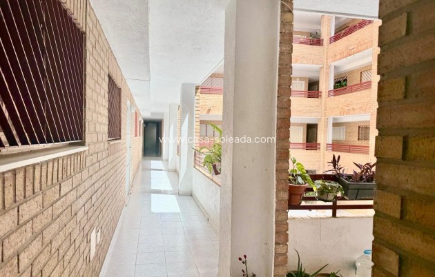 Herverkoop - Appartement / flat - Torrevieja - El Molino