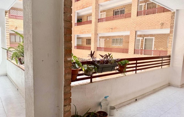 Herverkoop - Appartement / flat - Torrevieja - El Molino