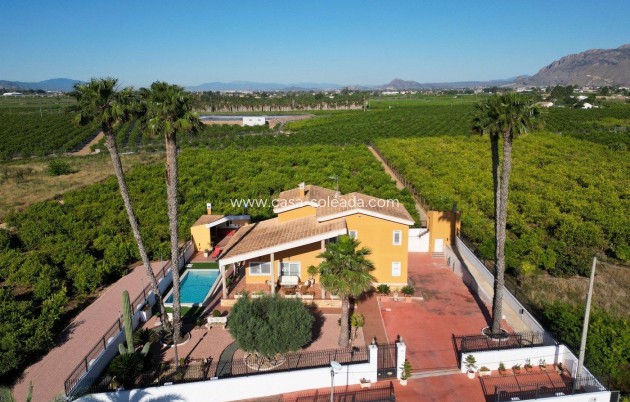 Wiederverkauf - Villa - Orihuela - Orihuela Ciudad