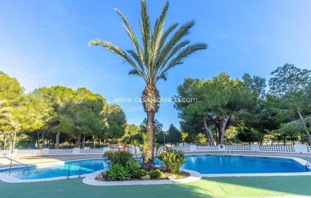 Wiederverkauf - Wohnung - Orihuela Costa - Altos De Campoamor