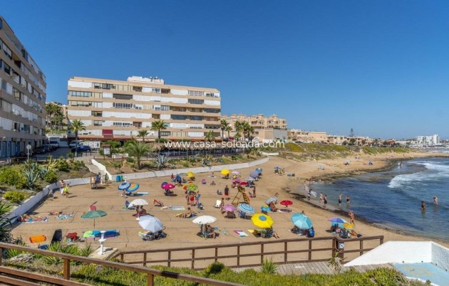 Alquiler a largo plazo - Apartamento / piso - Torrevieja - Cabo cervera