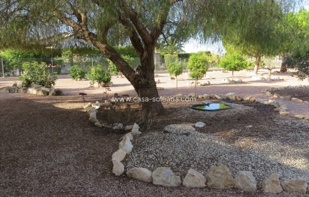 Reventa - Finca / Country Property - Daya Vieja - Daya vieja