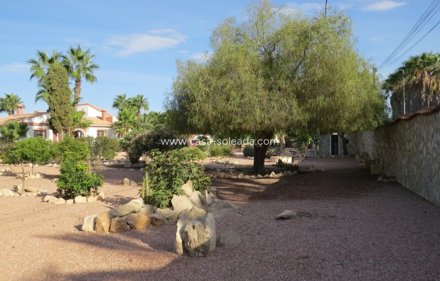 Reventa - Finca / Country Property - Daya Vieja - Daya vieja