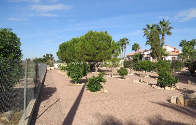 Reventa - Finca / Country Property - Daya Vieja - Daya vieja