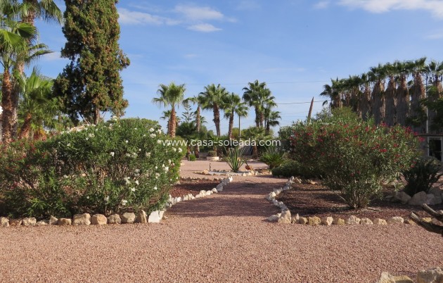 Reventa - Finca / Country Property - Daya Vieja - Daya vieja