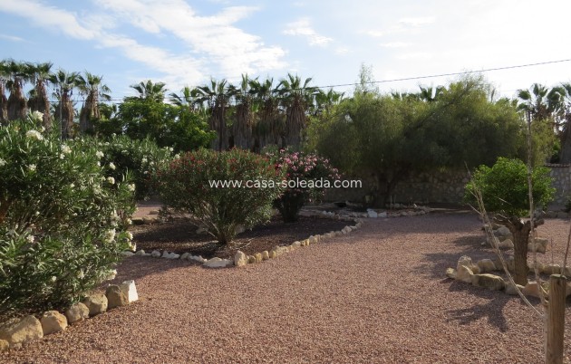 Reventa - Finca / Country Property - Daya Vieja - Daya vieja
