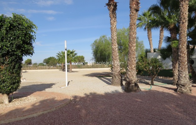 Reventa - Finca / Country Property - Daya Vieja - Daya vieja
