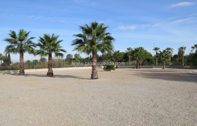 Reventa - Finca / Country Property - Daya Vieja - Daya vieja