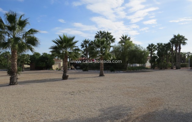 Reventa - Finca / Country Property - Daya Vieja - Daya vieja