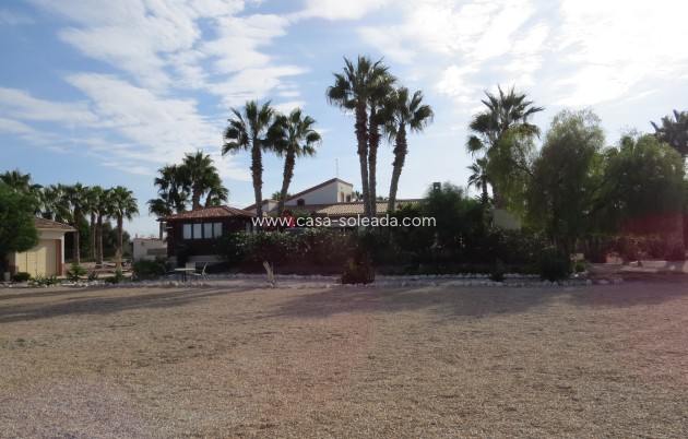 Reventa - Finca / Country Property - Daya Vieja - Daya vieja