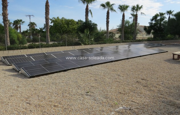 Reventa - Finca / Country Property - Daya Vieja - Daya vieja