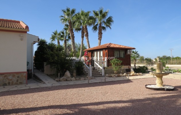 Reventa - Finca / Country Property - Daya Vieja - Daya vieja
