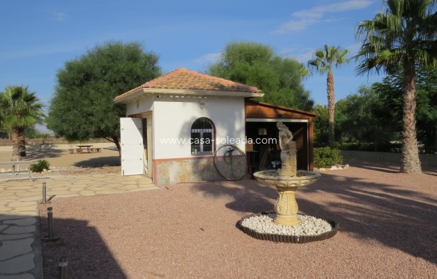 Reventa - Finca / Country Property - Daya Vieja - Daya vieja