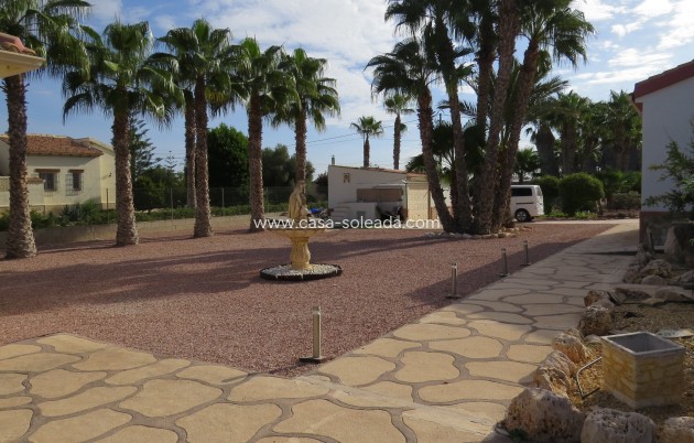 Reventa - Finca / Country Property - Daya Vieja - Daya vieja