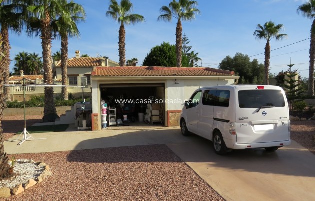 Reventa - Finca / Country Property - Daya Vieja - Daya vieja