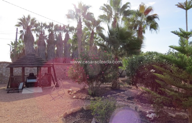 Reventa - Finca / Country Property - Daya Vieja - Daya vieja