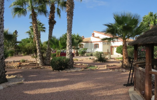 Reventa - Finca / Country Property - Daya Vieja - Daya vieja