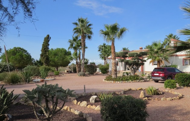 Reventa - Finca / Country Property - Daya Vieja - Daya vieja