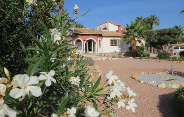 Reventa - Finca / Country Property - Daya Vieja - Daya vieja