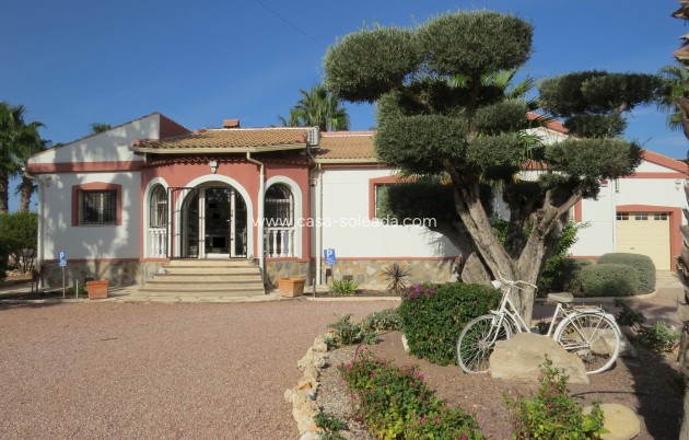Reventa - Finca / Country Property - Daya Vieja - Daya vieja