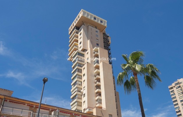 Wiederverkauf - Wohnung - Benidorm - Coblanca