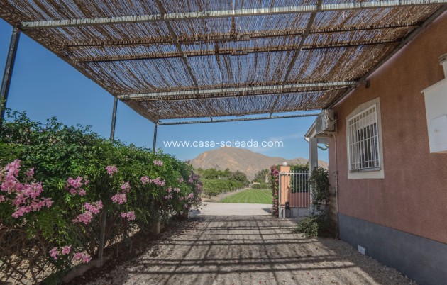 Reventa - Country Property/Finca - Orihuela - San Bartolome