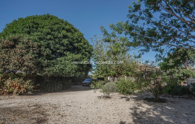 Reventa - Country Property/Finca - Orihuela - San Bartolome