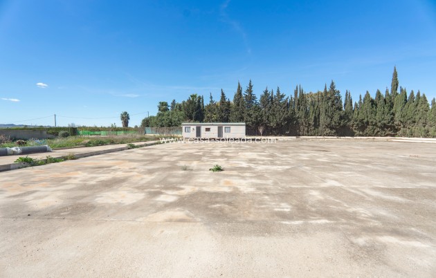 Revente - Country Property/Finca - Los Montesinos